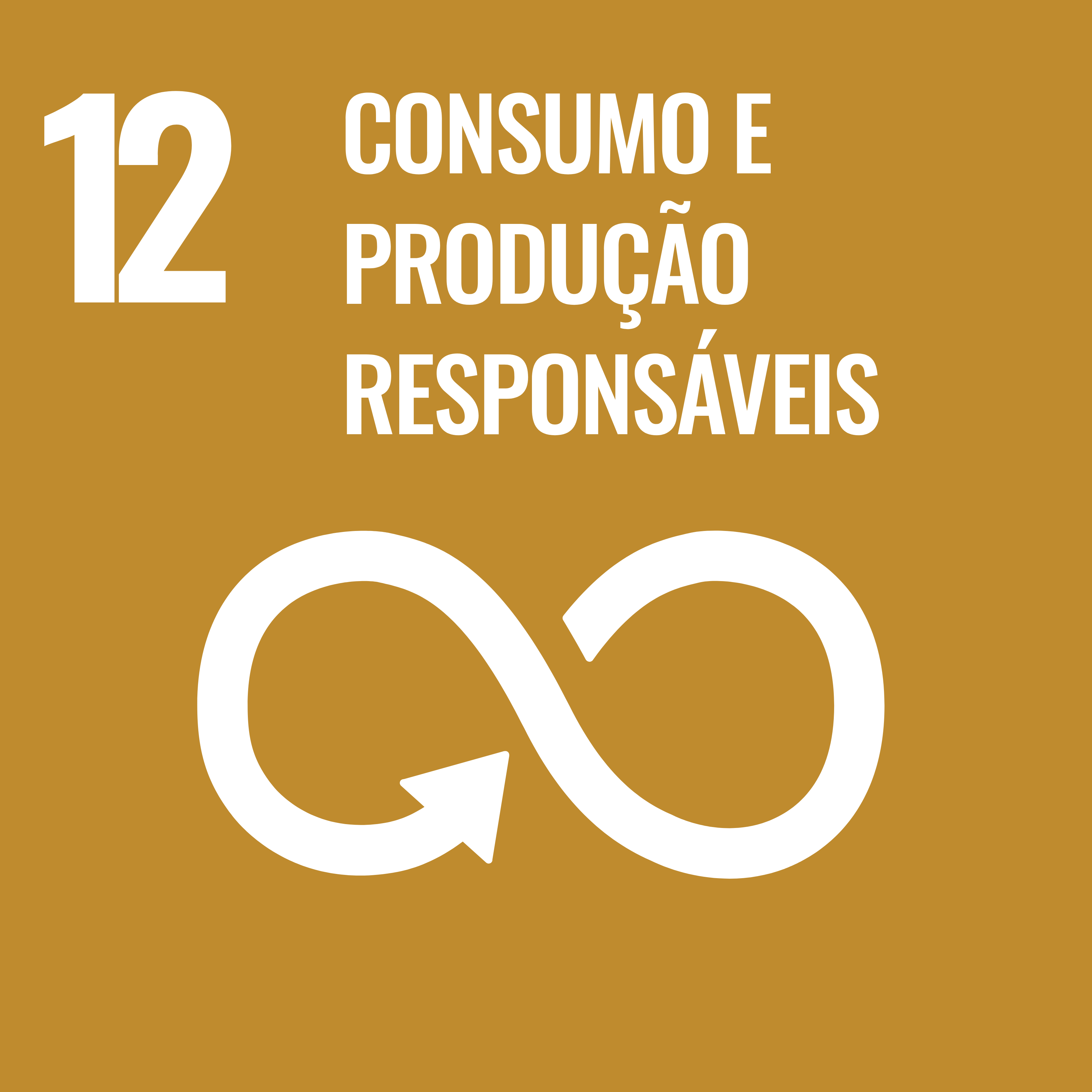ODS 12 - Consumo e produção responsáveis